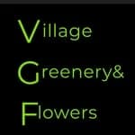 Village Greenery And Flowers